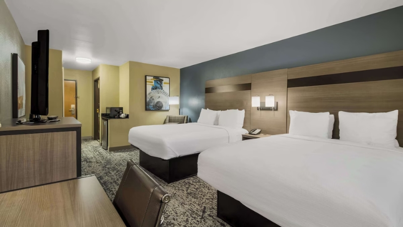 Double Bed Room